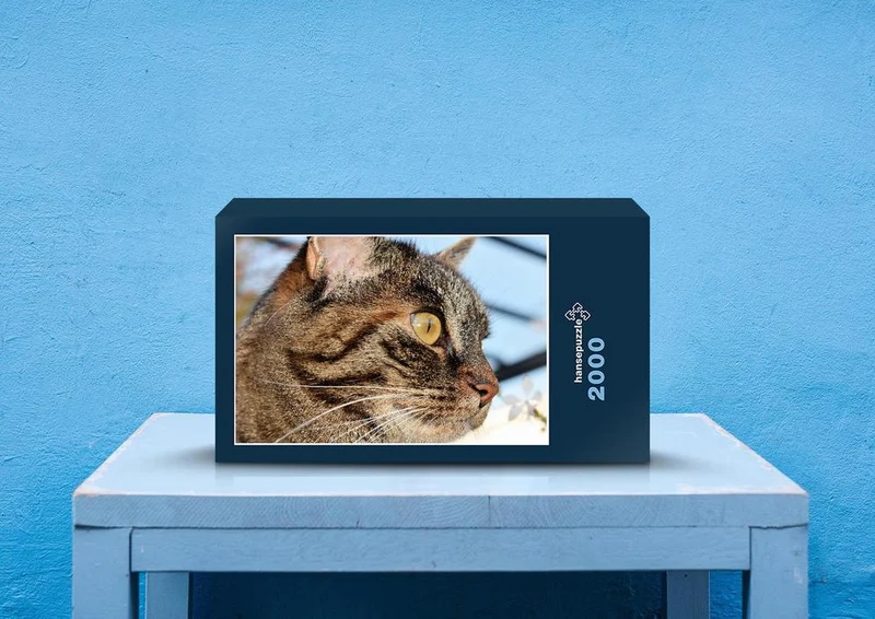 29743 Tierwelt - Katze Puzzle