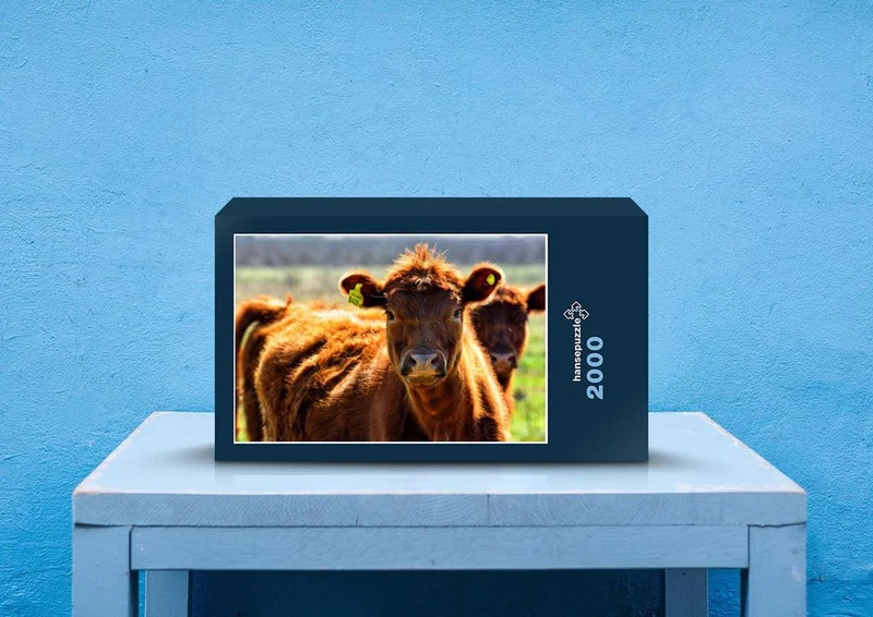 29583 Tierwelt - Kuh Puzzle