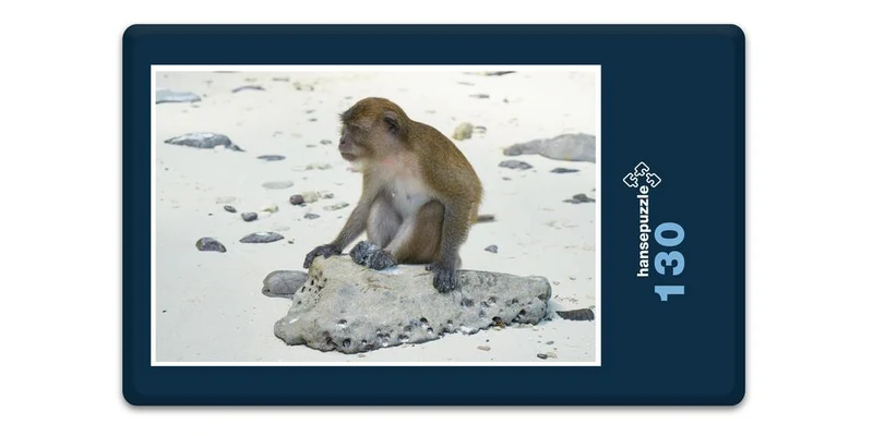 17093 Reisen - Strand-Affe Puzzle