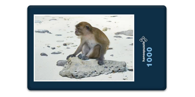 17093 Reisen - Strand-Affe Puzzle