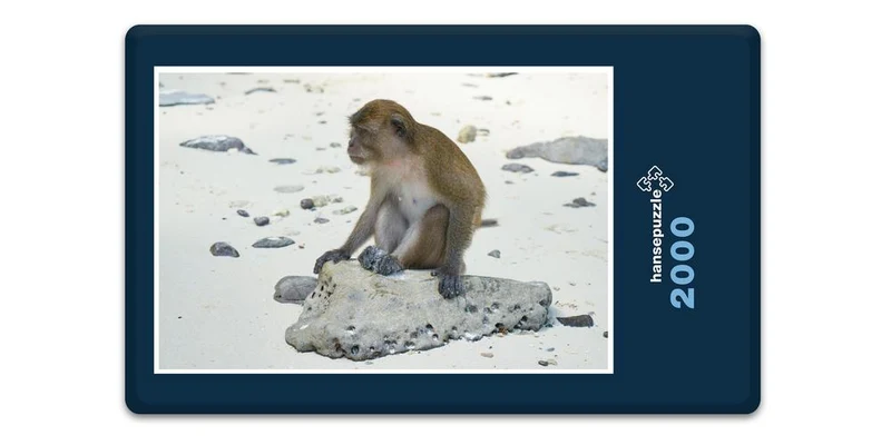 17093 Reisen - Strand-Affe Puzzle