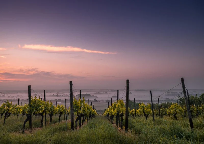 17085 Reisen - Wein-Berg Puzzle