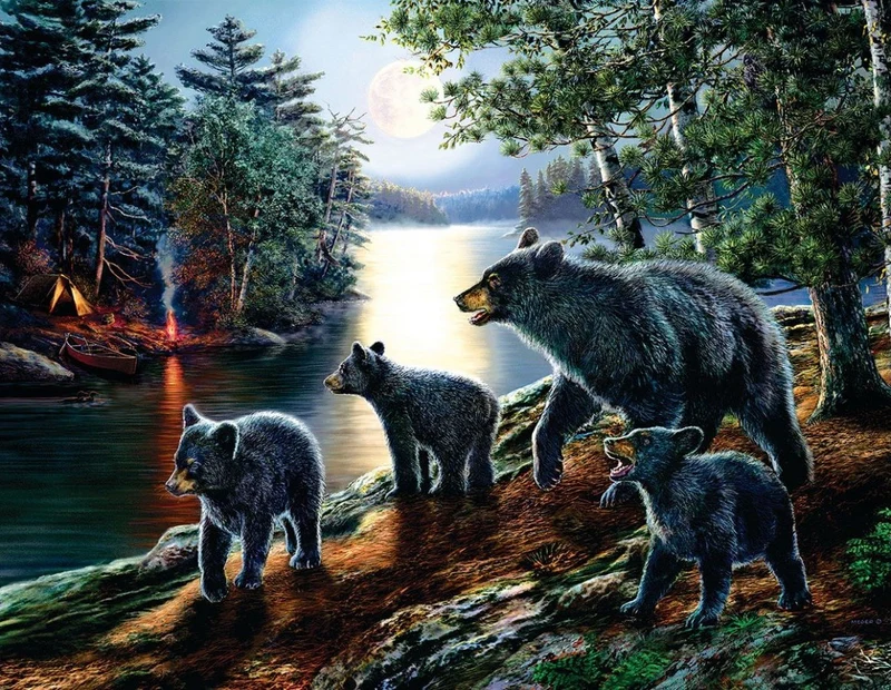 Bear Moon, James Meger