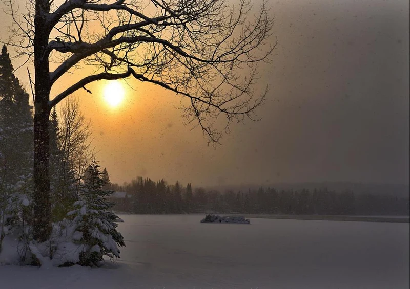 29139 Natur - Winterlandschaft Puzzle