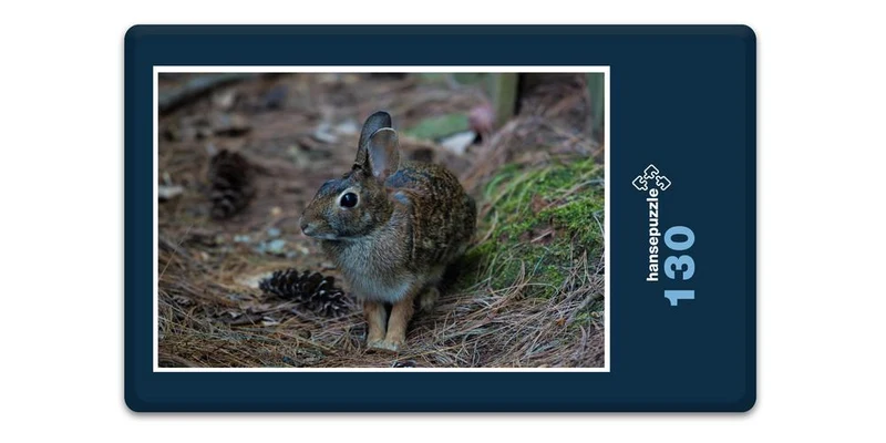 18049 Tierwelt - Wald-Hase Puzzle