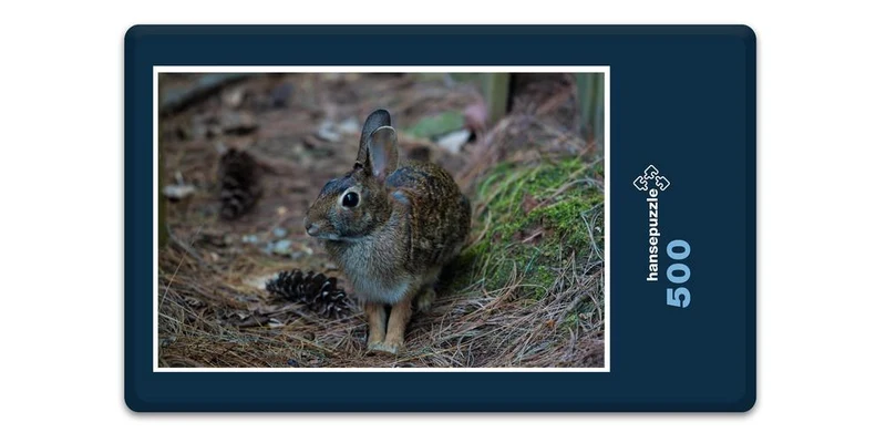 18049 Tierwelt - Wald-Hase Puzzle
