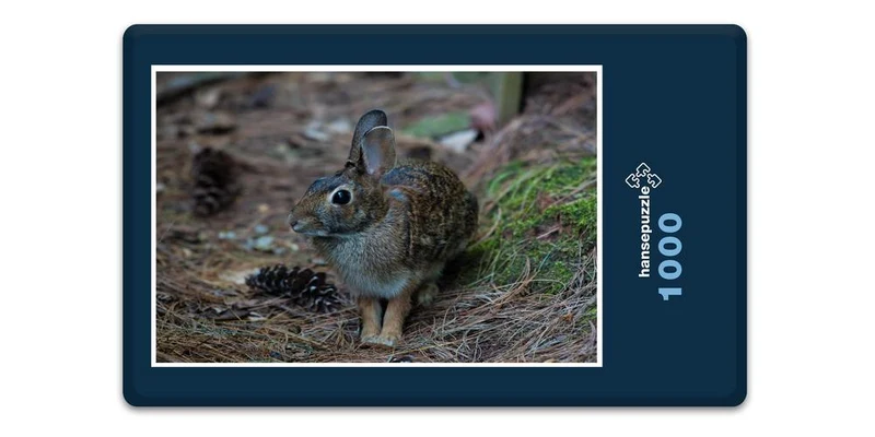 18049 Tierwelt - Wald-Hase Puzzle