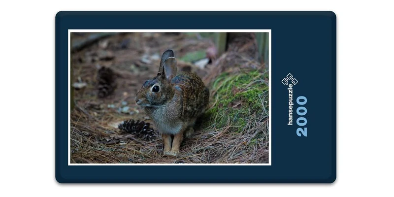 18049 Tierwelt - Wald-Hase Puzzle