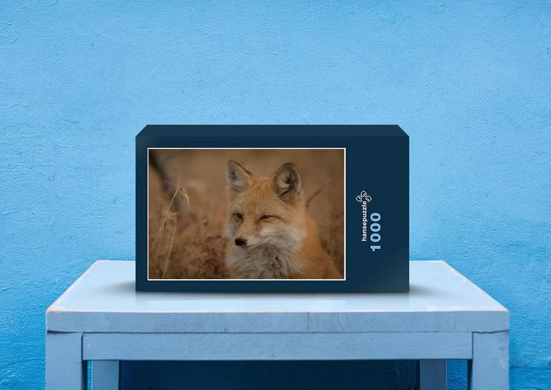 21242 Tierwelt - Fuchs Puzzle