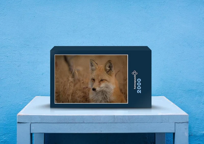 21242 Tierwelt - Fuchs Puzzle