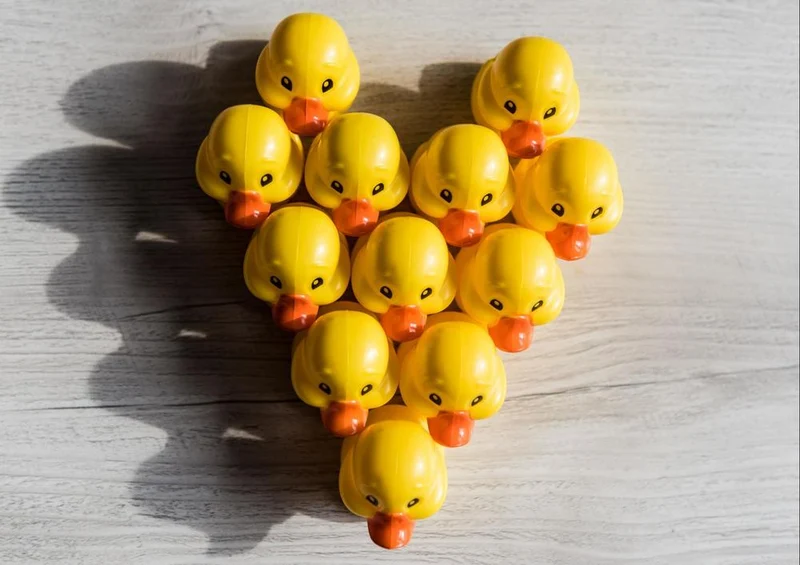 29348 Gefühle - Herz für Enten Puzzle