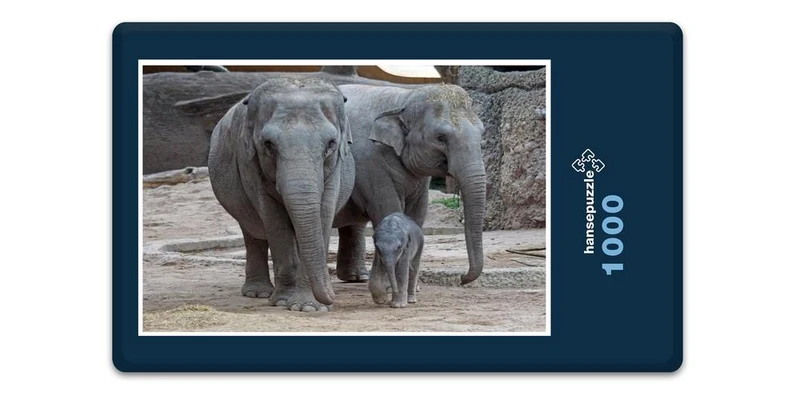 18048 Tierwelt - Elefanten-Familie Puzzle