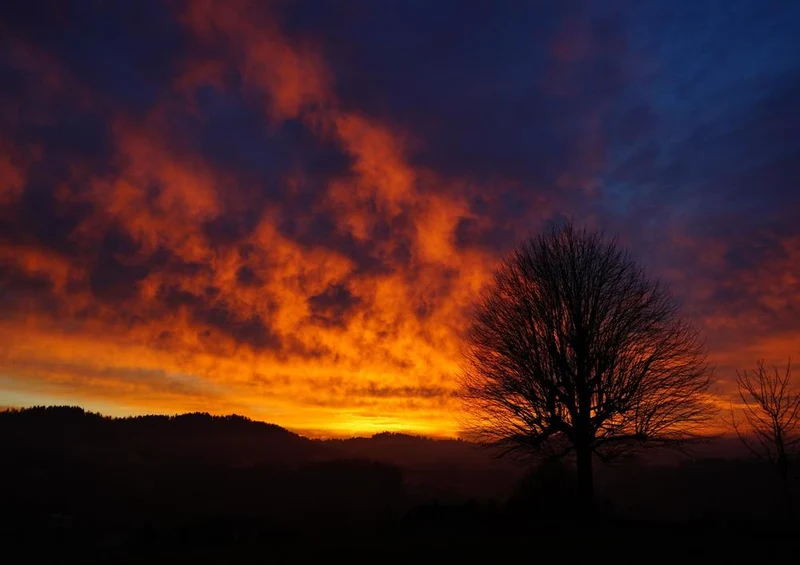 27373 Natur - Sonnenuntergang Puzzle