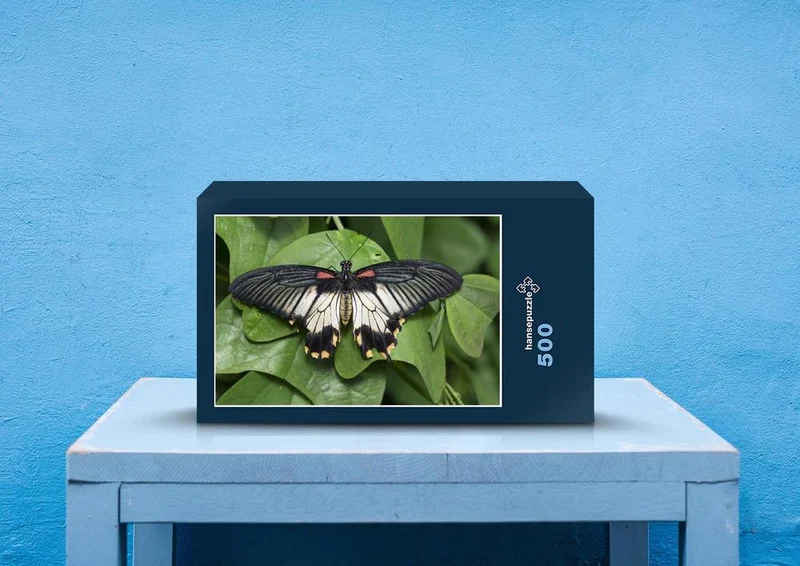 29608 Tierwelt - Schmetterling Puzzle