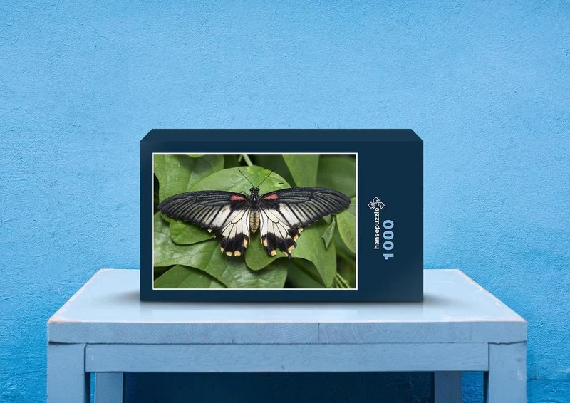29608 Tierwelt - Schmetterling Puzzle
