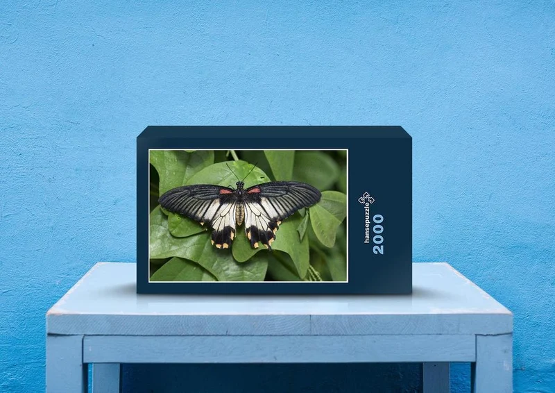 29608 Tierwelt - Schmetterling Puzzle