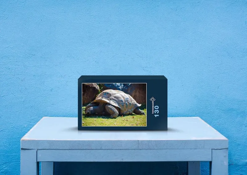 29563 Tierwelt - Schildkröte Puzzle