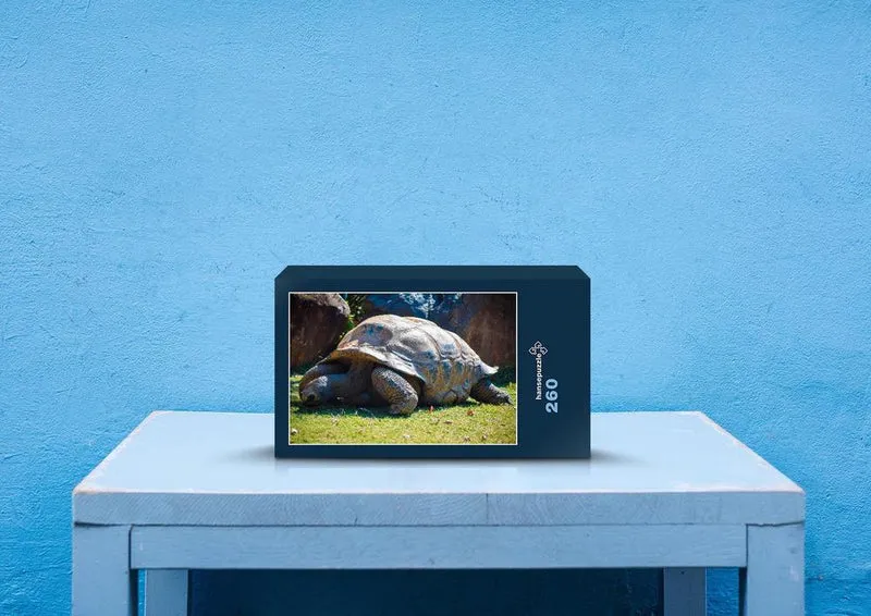 29563 Tierwelt - Schildkröte Puzzle