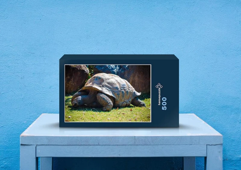 29563 Tierwelt - Schildkröte Puzzle