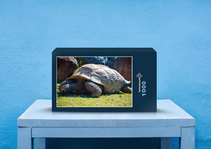 29563 Tierwelt - Schildkröte Puzzle