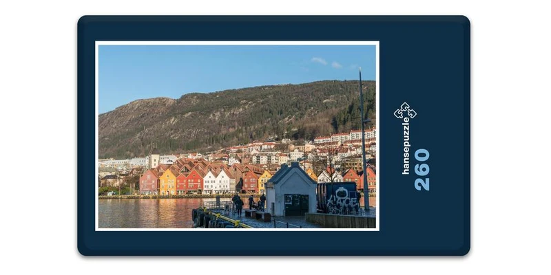 17080 Reisen - Bergen Puzzle