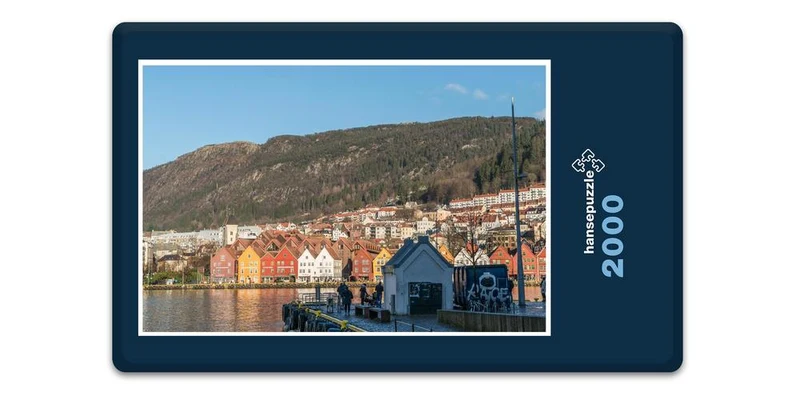 17080 Reisen - Bergen Puzzle