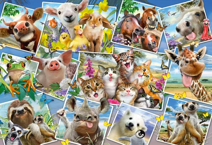 Animal Selfies, Howard Robinson