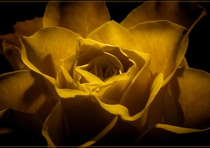 28294 Natur - Blüte Puzzle