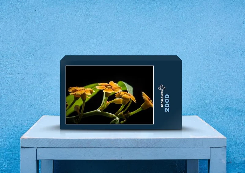 28249 Natur - Blüte Puzzle