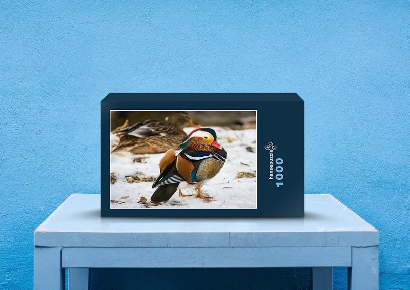 28894 Tierwelt - Ente Puzzle