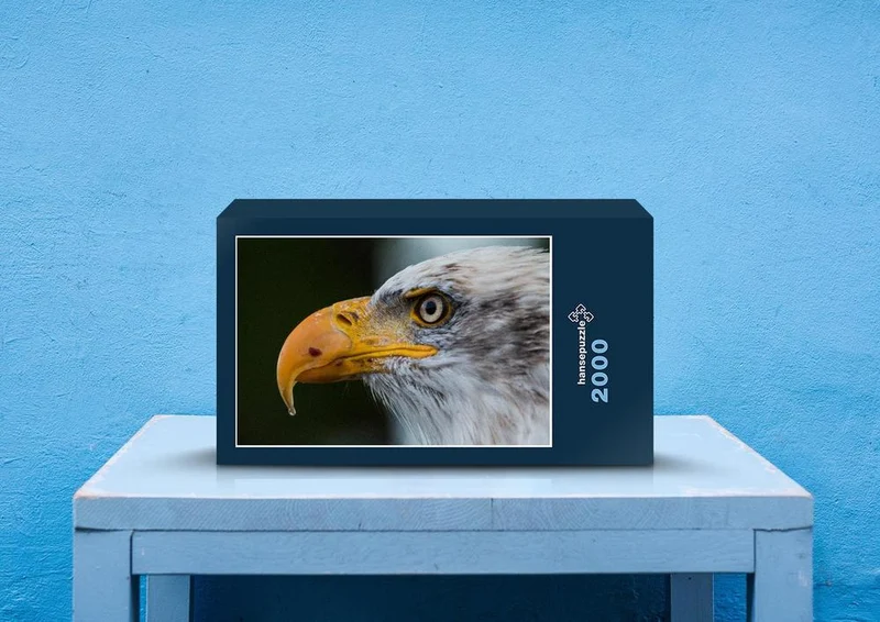 28874 Tierwelt - Weißkopfseeadler Puzzle
