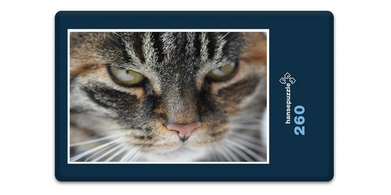 18047 Tierwelt - Katzen-Gesicht Puzzle