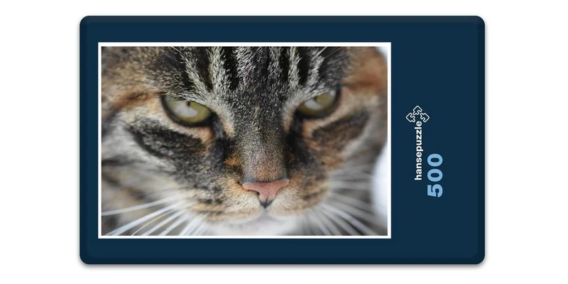 18047 Tierwelt - Katzen-Gesicht Puzzle
