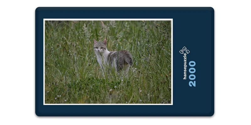 18046 Tierwelt - Katze im Gras Puzzle
