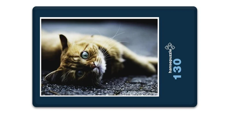 18045 Tierwelt - Katzen-Blick Puzzle