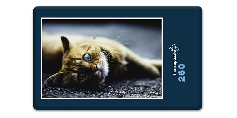 18045 Tierwelt - Katzen-Blick Puzzle