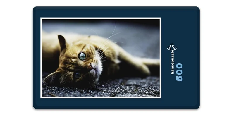 18045 Tierwelt - Katzen-Blick Puzzle