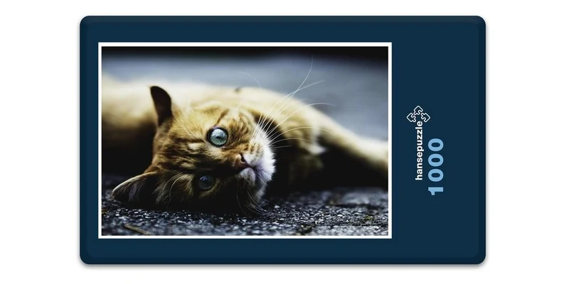 18045 Tierwelt - Katzen-Blick Puzzle