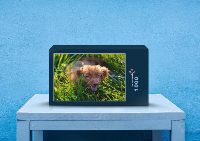 29333 Tierwelt - Hund im Gras Puzzle