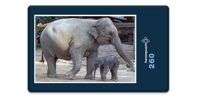 17105 Tierwelt - Elefant mit Baby Puzzle