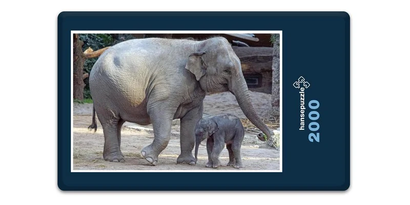 17105 Tierwelt - Elefant mit Baby Puzzle