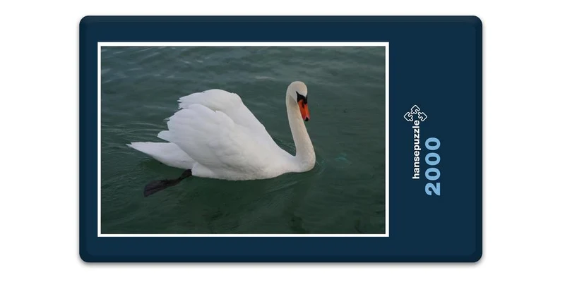 17104 Tierwelt - Schwan Puzzle