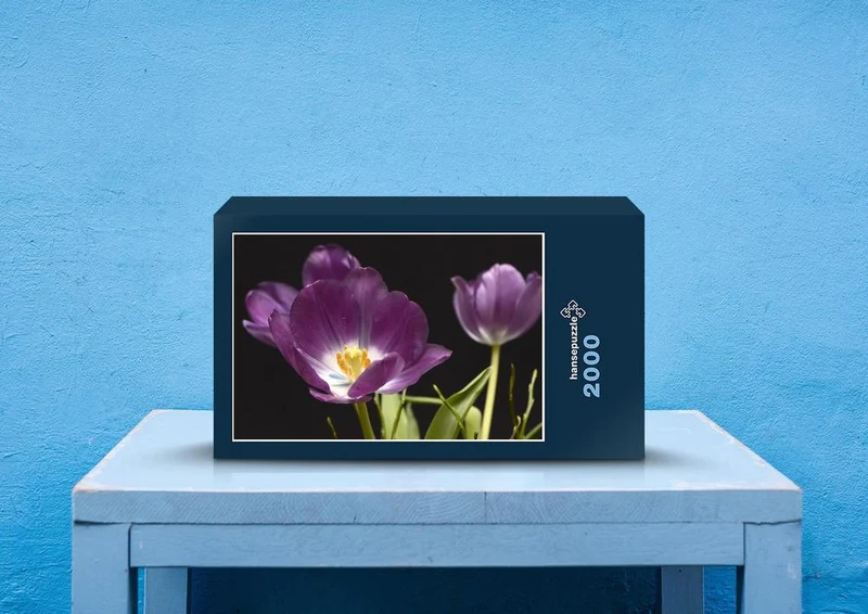 27048 Natur - Tulpenblüte Puzzle