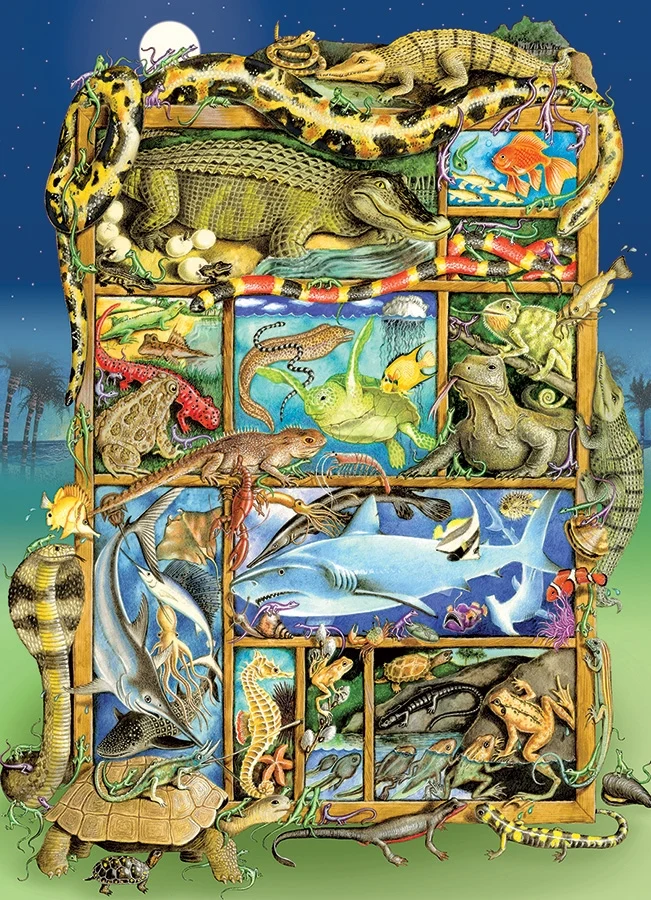 Reptiles and Amphibians, Laura L. Seeley (Family Puzzle)