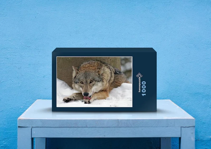 29528 Tierwelt - hungriger Wolf Puzzle