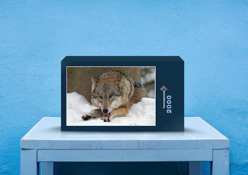 29528 Tierwelt - hungriger Wolf Puzzle
