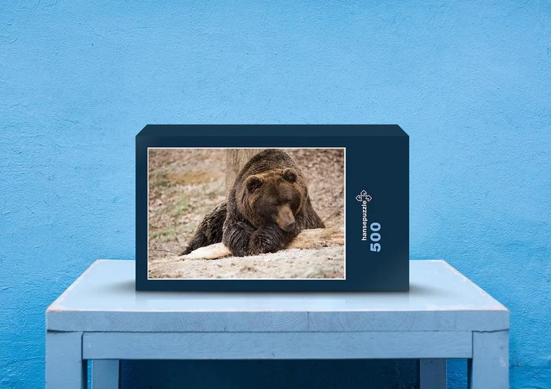29513 Tierwelt - Braunbär Puzzle