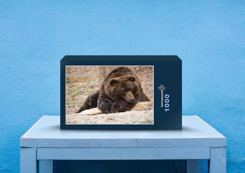 29513 Tierwelt - Braunbär Puzzle