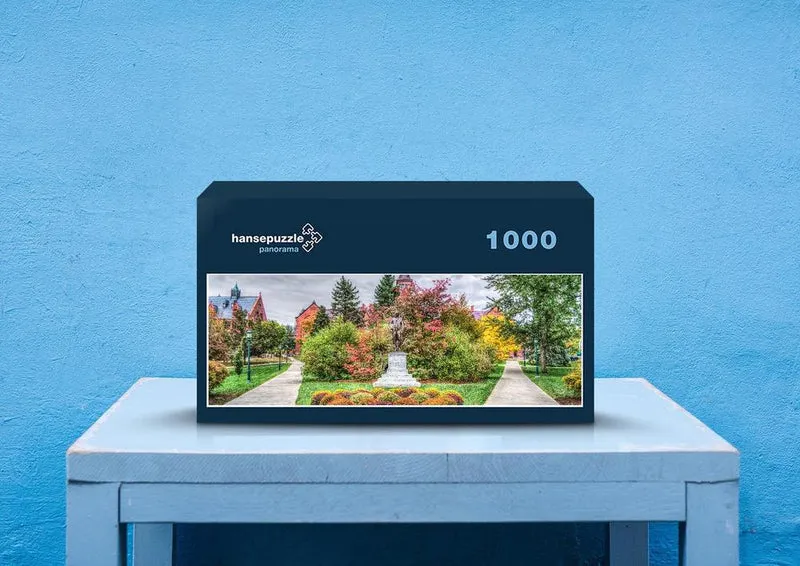 28589 Reisen - Universität von Vermont Puzzle