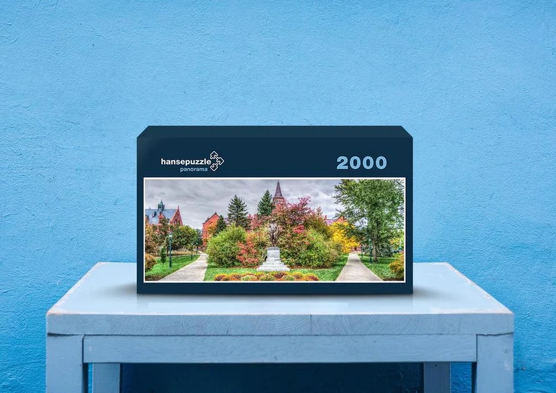 28589 Reisen - Universität von Vermont Puzzle